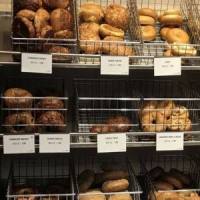 Possible FREE Bagel EVERY DAY for MyPanera Reward Members
