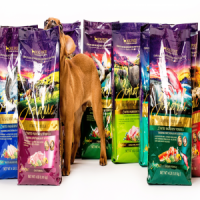 FREE Zignature Dog Food Sample – Request Yours Now!